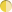 dual-tone yellow