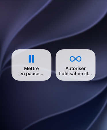 Écran affichant les boutons pour mettre en pause l’utilisation de l’appareil et autoriser une utilisation illimitée.