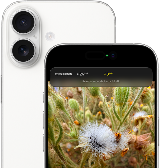 iPhone 17, parte trasera, esquinas redondeadas, sistema de dos cámaras Fusion en la parte superior izquierda, color blanco, parte frontal, Dynamic Island, esquinas redondeadas