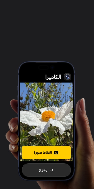 شاشة iPhone&nbsp;17&nbsp;Pro تعرض واجهة مبسطة لتطبيق الكاميرا مع زهرة بيضاء في الإطار، وزر 