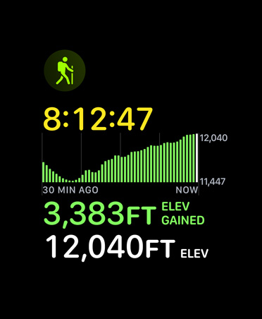 Hiking workout card, metrics: time, elevation