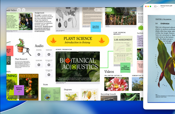 Un tableau Freeform consacré à la phytologie sur Mac, dans lequel se trouvent des contenus audio, vidéo et des recherches, et à côté d’une fenêtre d’aperçu d’un PDF, le tout illustrant la productivité facilitée