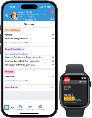 Software displaying Epic Haiku, and Epic Limerick on iPhone and Apple Watch.